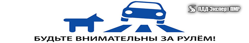 Соц18
